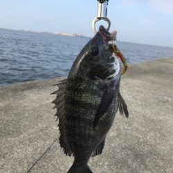 久しぶりの沖堤防