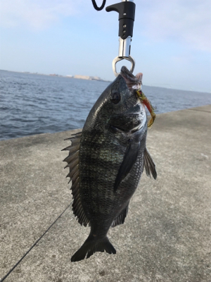 久しぶりの沖堤防