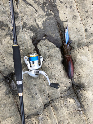 初の地磯エギング