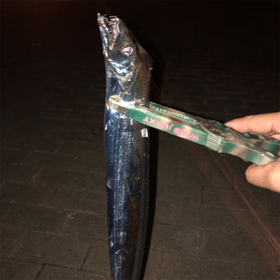 久々のガツーン！