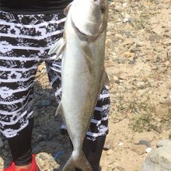 ソルトレイク引田 安戸池