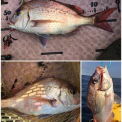 8目釣り！マイボート釣行