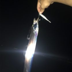 夕まずめ狙い‼︎ 少し大きくなってきた!