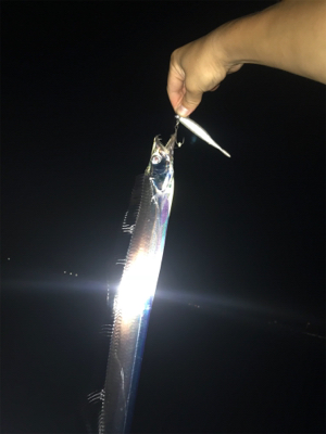 夕まずめ狙い‼︎ 少し大きく…