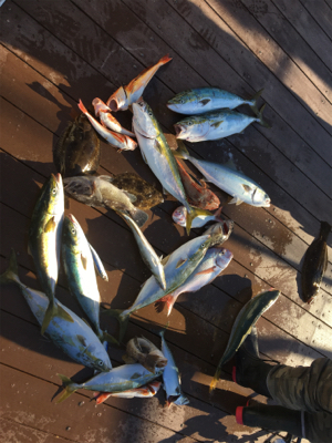 プライベートボートで仙台湾満喫