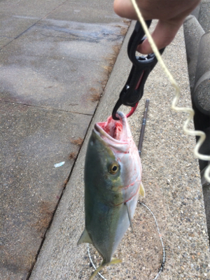 飲んだら釣るな⁉︎