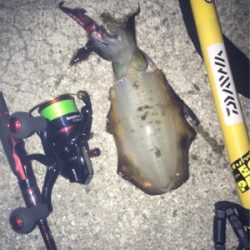 久々の納得釣行