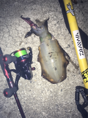 久々の納得釣行