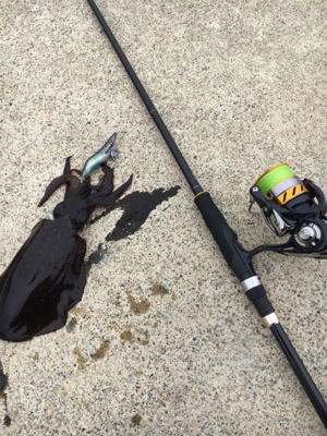 サーフエギング