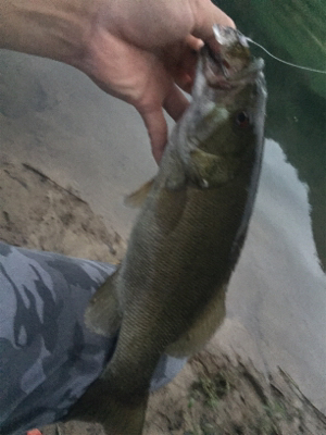 久しぶりのホーム釣行