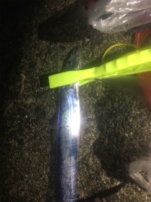 やっぱり厳しい？タチウオ