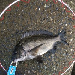 カニで落とし込み