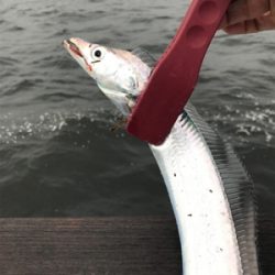 ジグ○ワインド×テンヤ○