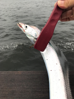 ジグ○ワインド×テンヤ○