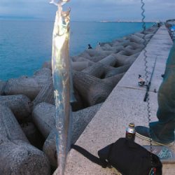 タチウオ 釣れたよ♩