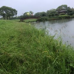 また落合公園にて