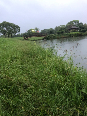 また落合公園にて