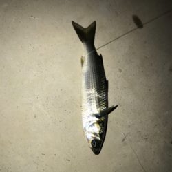 こんな日もある