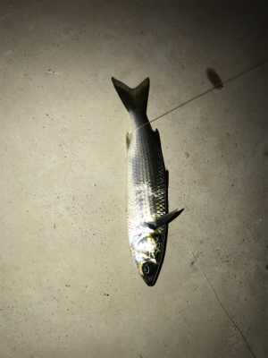 こんな日もある