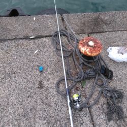 ぶっこみ飲ませ不発