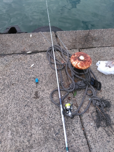 ぶっこみ飲ませ不発