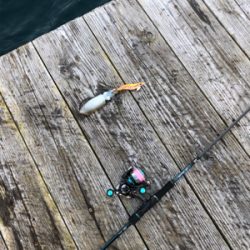 初筏でイカ狙い