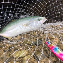 チャンスをいかせた一投(^^)！