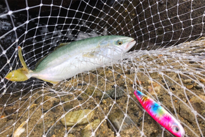 チャンスをいかせた一投(^^)！