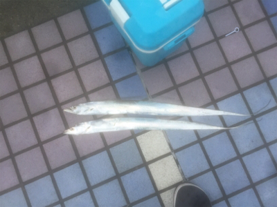 寝坊したけどなんとか！