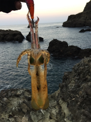 人多過ぎでしょ。