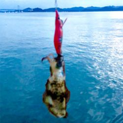 連休嫁さんとうず潮クルーズ