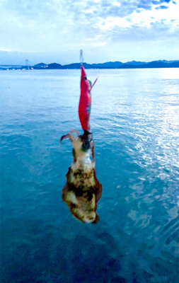 連休嫁さんとうず潮クルーズ