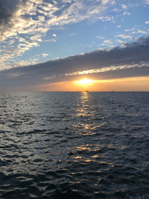 取れないアタリ多い。