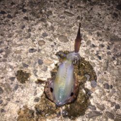 リベンジならず