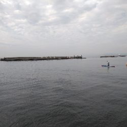 須磨で牙族きてます