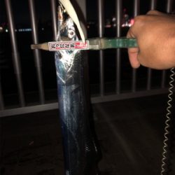 ボチボチって感じ