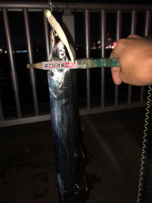 ボチボチって感じ