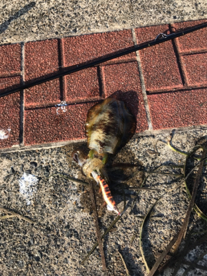 連休中日、渋かった