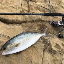 ジグでネリゴ。