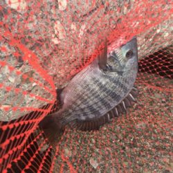 朝寝坊してよかった？