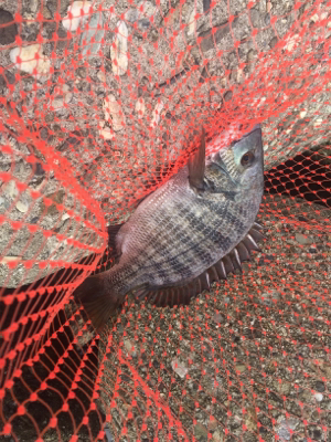 朝寝坊してよかった？