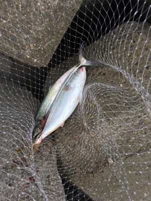 家族サービスの後に