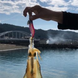 結果オーライ!楽しい現調となりました