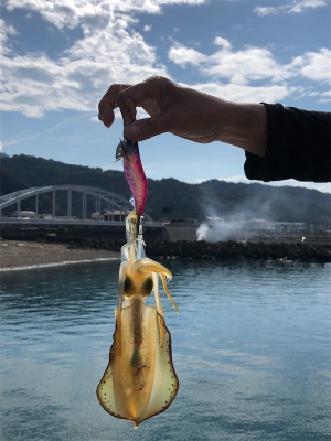 結果オーライ！楽しい現調となりました