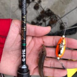 ハゼ釣りリベンジ