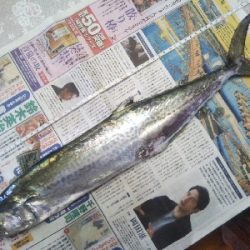 小雨の中の釣行