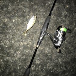 ライトアジング