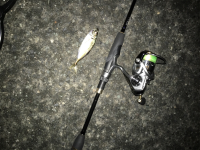 ライトアジング