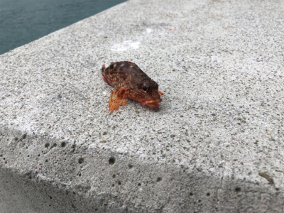 岩屋一文字ミラクル発生！？