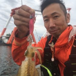 太刀魚ゲーム/サゴシ/朝アオリイカ☆